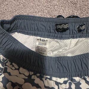 Boys Fable and Arrow Swim Trunks